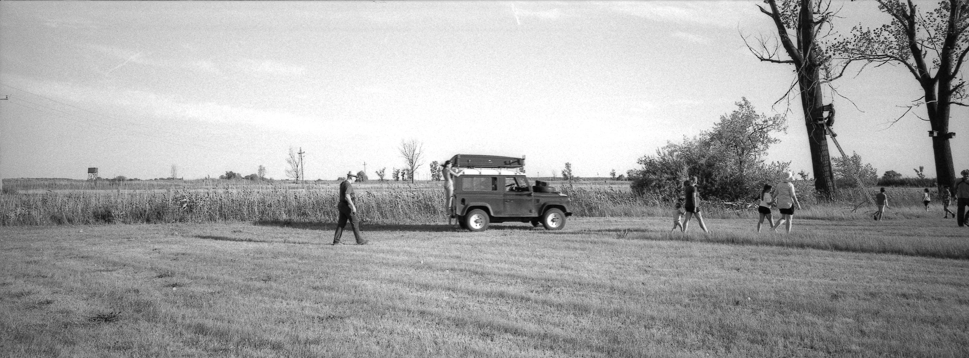 The TÖK Camp team walking through the field toward nest boxes in the poplar trees