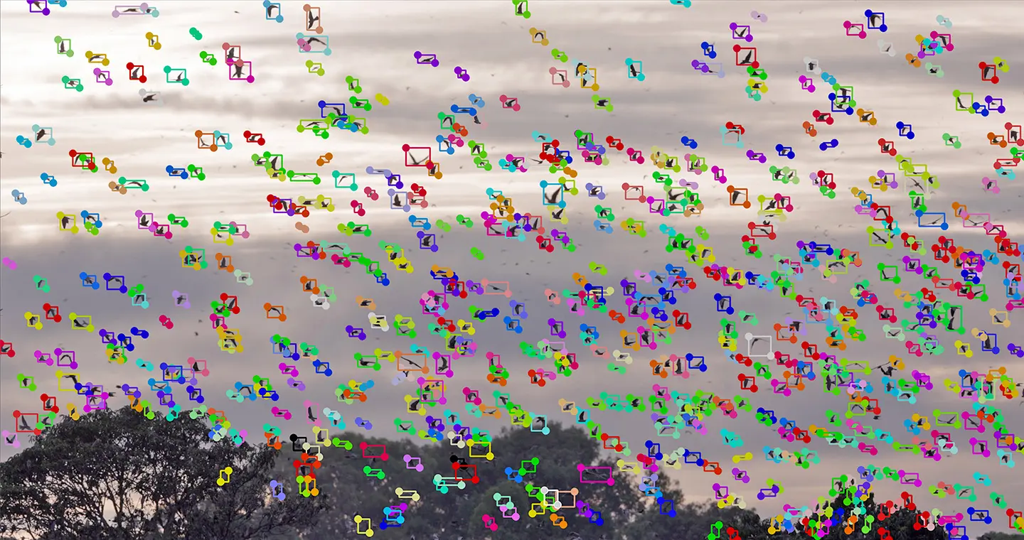 AI counting result overlay