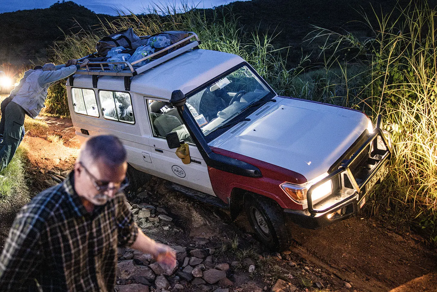 Falcopolis roosting landscape
