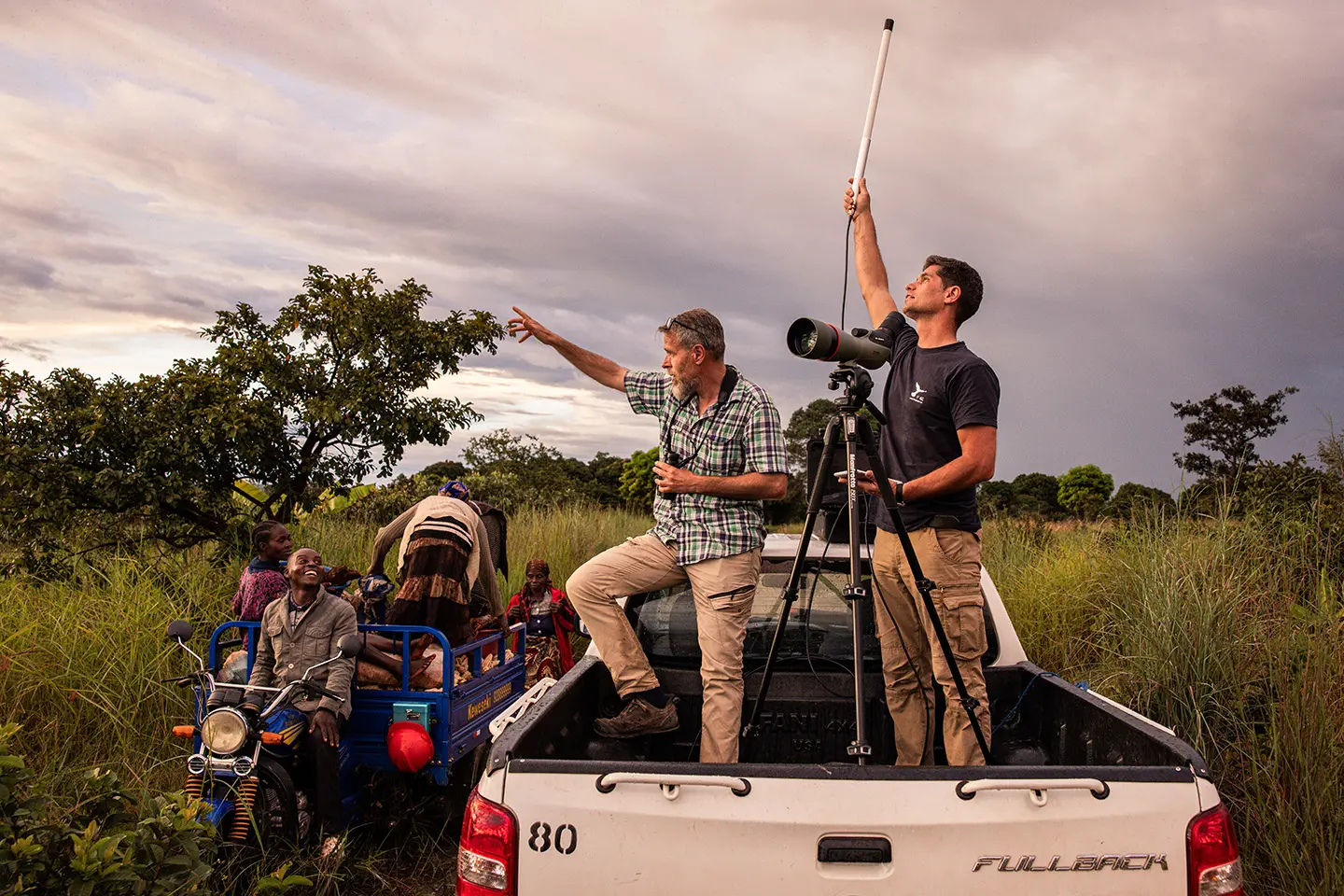 Falcons at the roost