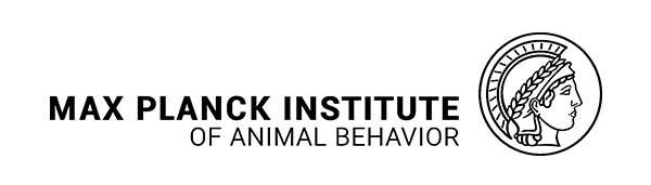 Max Planck Institute